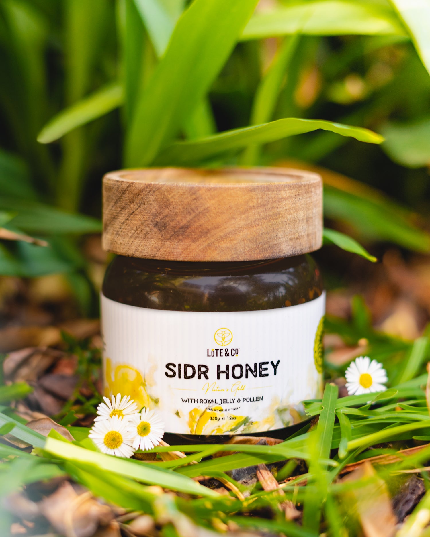 The Health Benefits of Yemeni Sidr Honey
