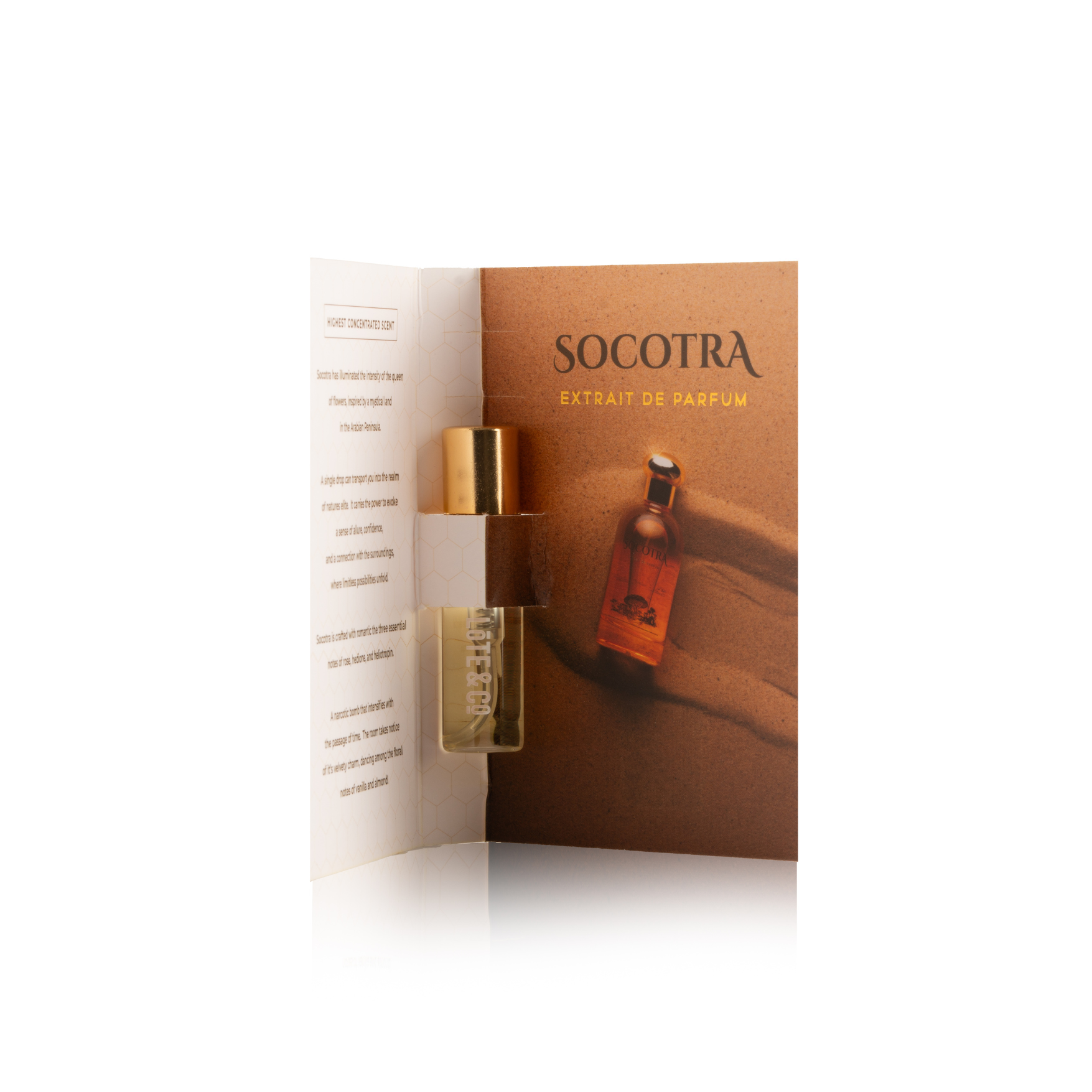 Socotra | Extrait de parfum (3ml Sample)