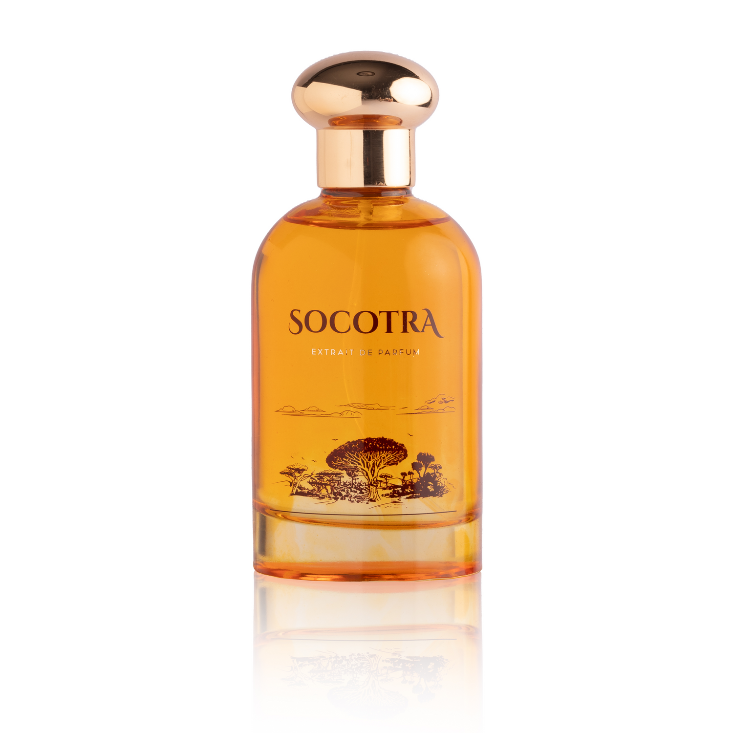Pre-Order Socotra | Extrait de parfum (100ml)