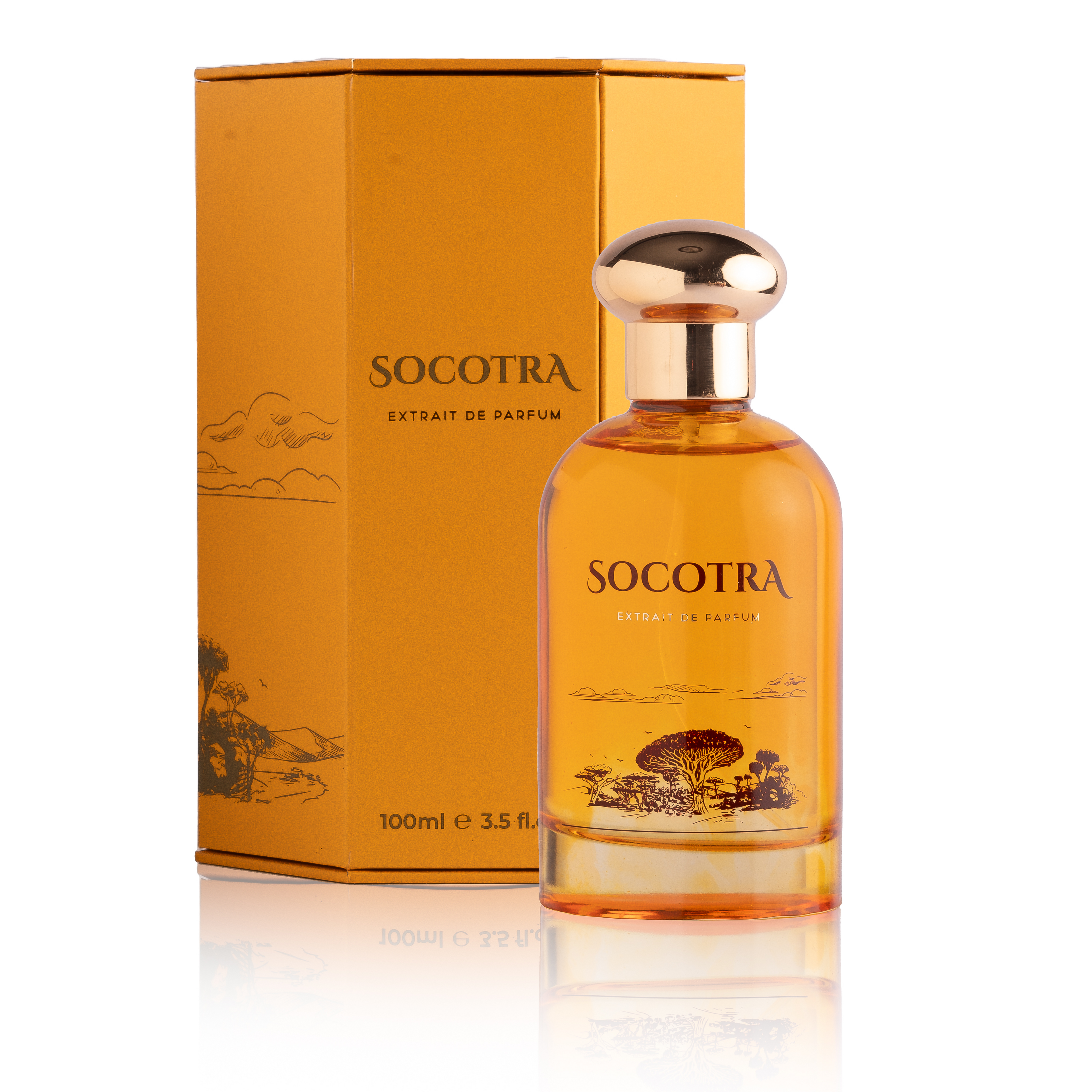 Pre-Order Socotra | Extrait de parfum (100ml)